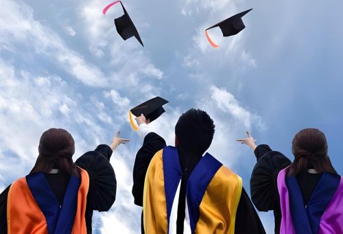 潍坊成人高考有哪些专业可以选择？